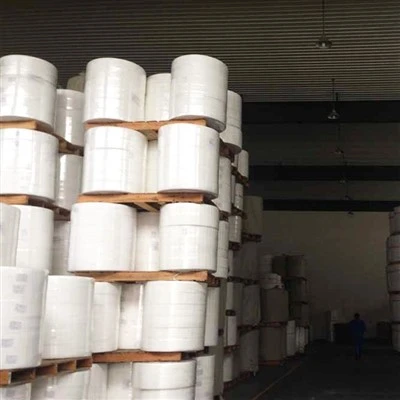 Flushable Spunlace Nonwoven Fabric