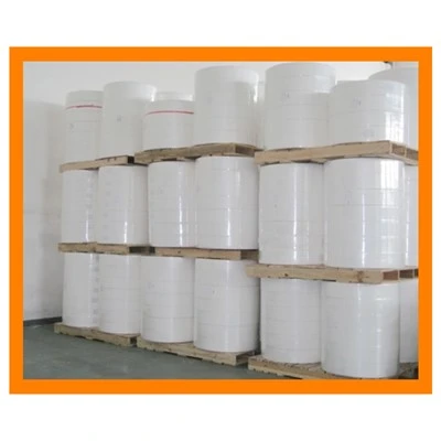 White Non Woven Fabric Roll